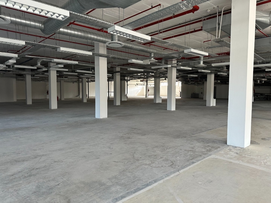 To Let commercial Property for Rent in Observatory Western Cape